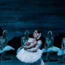 국립발레단 ’백조의 호수’ 이미지