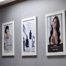 드림인셀덤 이미지
