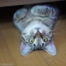 남성목장 이미지