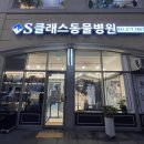 에스 클래스 동물병원 이미지