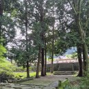 푸른1급정비공장 | 고성 한 달 살기 1주차!: 🏞️ 자연의 품에서 찾은 고요한 힐링 여행