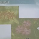 환경교육전문가 이미지