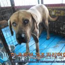 대곶남로 이미지