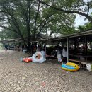 대추나무산장 | 전북 전주 근교 완주 애견동반 가능한 계곡 대추나무산장