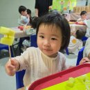 🍈 메론수확체험 🍈 이미지
