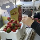 오창농장 이미지