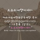 보문여행사