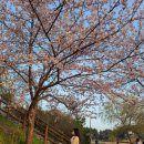 호수공원1길 이미지