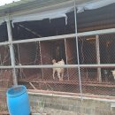 종식2농장 이미지