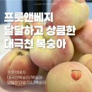 베지박스 | 프룻앤베지 대극천 복숭아 후기 🍑 달달한 딱복 추천
