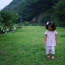 민주지산자연휴양림 야외화장실 | #50[지자체/충북|영동] 민주지산자연휴양림 1/4