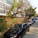 삼작로 410번길 이미지