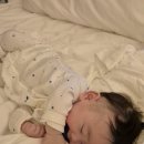 홈마리나속초호텔 이미지