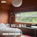 기사문 카페 | 숙소 찾는다면 코개러지 호텔 | 기사문해변 도보권, 루프탑 오션뷰 수영장까지 갖춘 서핑 감성 숙소 후기
