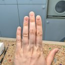 네일더피움(Nail The Pium)