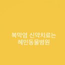 혜민동물병원 이미지