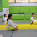 고려용호태권도장 네이버블로그