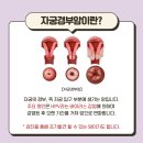 르네의원 이미지