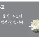 대보기획 이미지