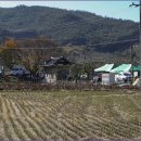 순천시 황전면 월산리 마을 봉사 이미지