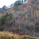 솔섬오토캠핑장 이미지