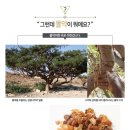(주)더미르라이프