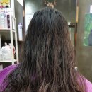 미앤미헤어샾 - 김해시 | 미앤미헤어 인천서구미용실 검단지구미용실