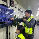 탑 인터월드 이미지