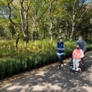 사문진역사공원1 이미지