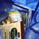 펫클럽 승기사거리점 이미지