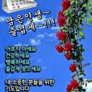 마음이 머무는곳 이미지