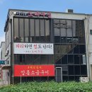 피티# 노빠꾸짐 이미지