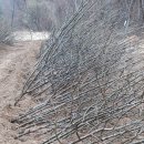 새봄목장 이미지