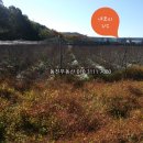 구산면418 네이버블로그
