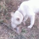 가장농장 이미지