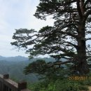 대광천(1) 이미지