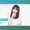 미키루키 이미지