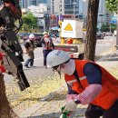 기동반-24 이미지