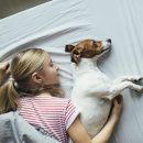 BB 동물병원 이미지