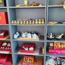 하동야생차박물관 이미지