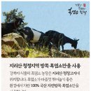 믿음 제1농장 이미지