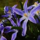 스포츠파크 해안도로 이미지