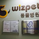 위즈펫 동물병원 이미지