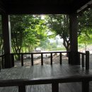 석항경로당 Daum카페