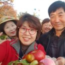 스마트폰으로 배우는 스마트폰 활용 교육 이미지