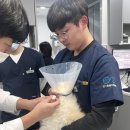 동계동물병원 이미지