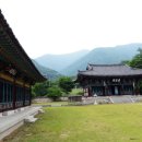 표충사2 이미지