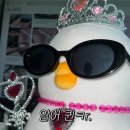 이제 경주 이미지