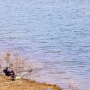 장계가항로 이미지