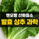 샤르네글렌티